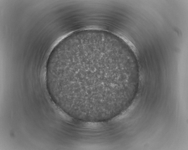 X0000115340933200911231429