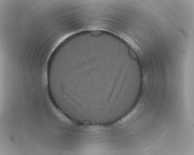 X0000115340934200911231429