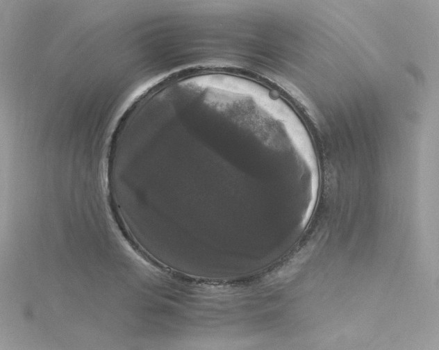 X0000115340935200911231429