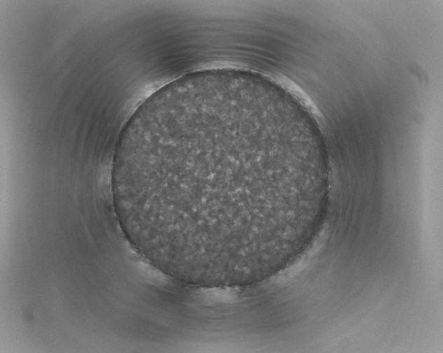 X0000115340937200911231429