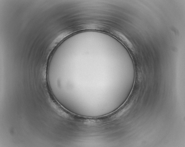 X0000115340938200911231429