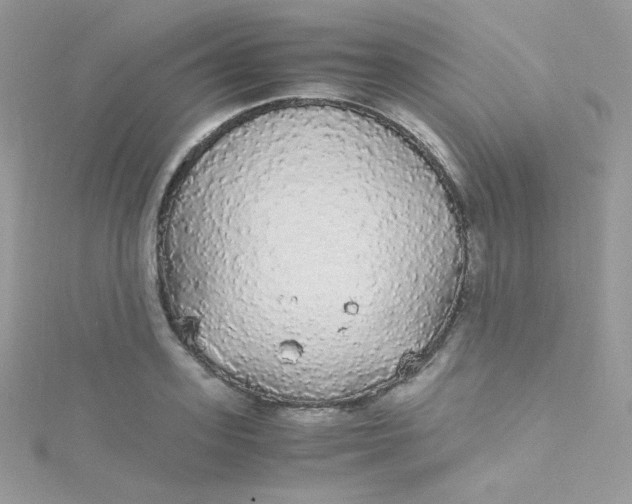 X0000115340939200911231429