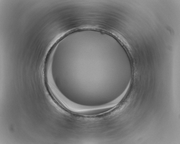 X0000115340941200911231429