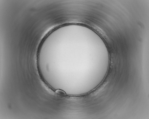 X0000115340942200911231429