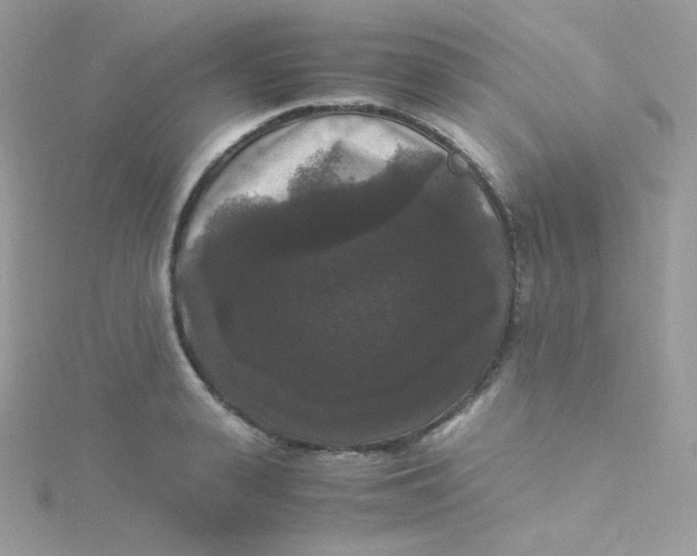 X0000115340943200911231429