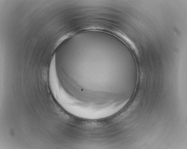 X0000115340945200911231429