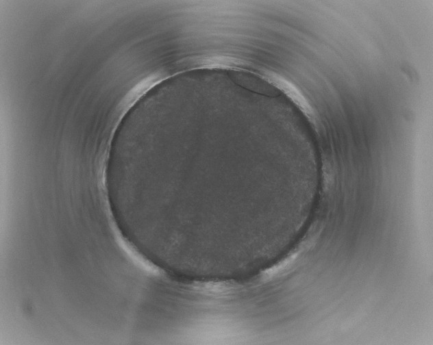 X0000115340946200911231430