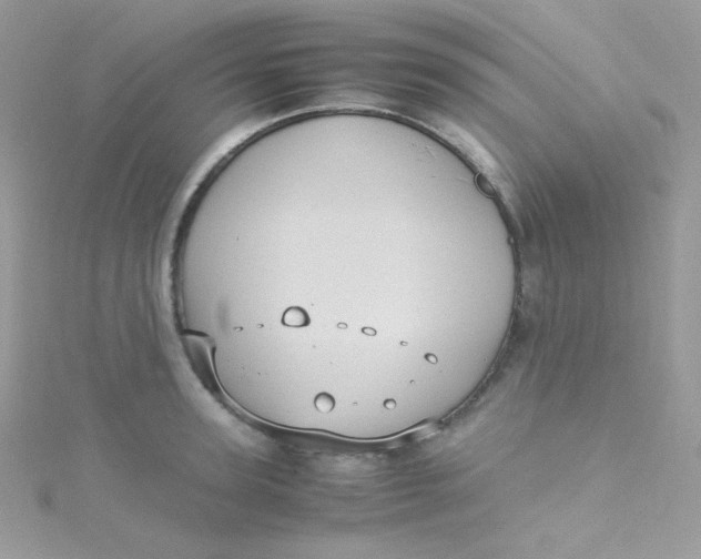 X0000115340947200911231430