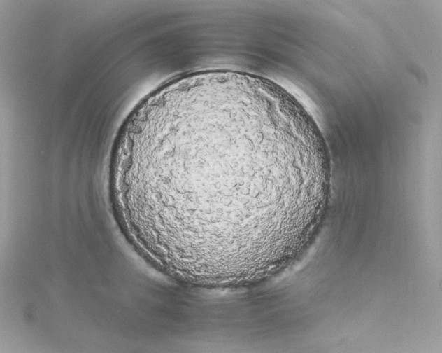 X0000115340949200911231430