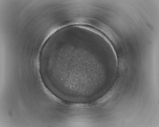 X0000115340950200911231430