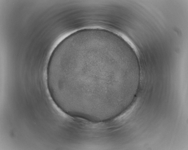 X0000115340951200911231430