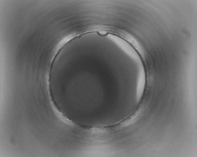 X0000115340954200911231430