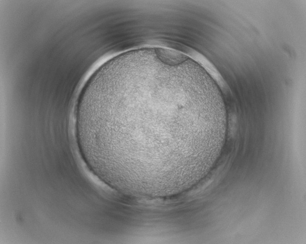 X0000115340955200911231430