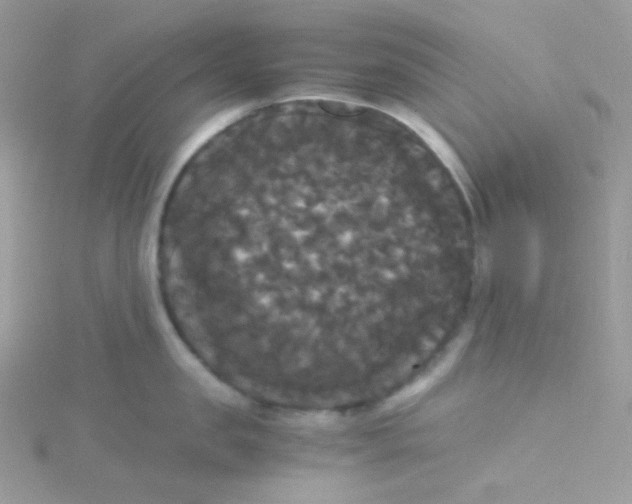 X0000115340957200911231430