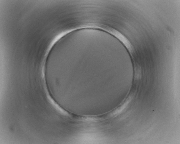 X0000115340958200911231430