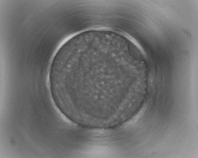 X0000115340959200911231430