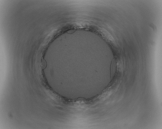 X0000115340961200911231429