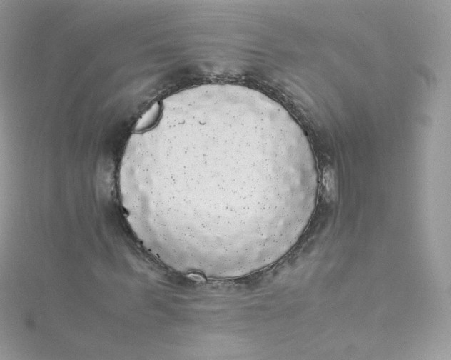 X0000115340963200911231429