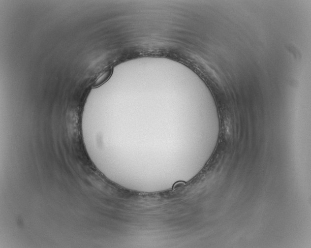 X0000115340964200911231429