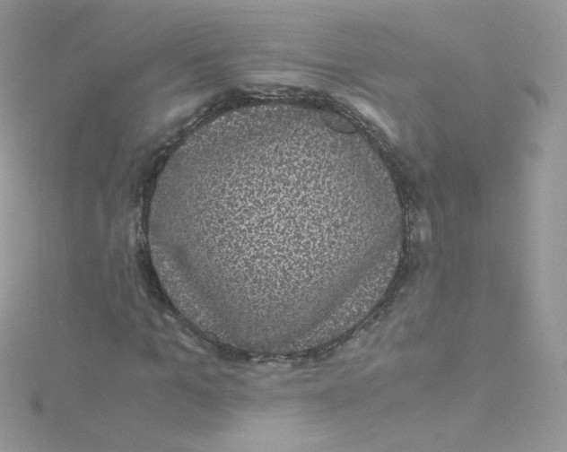 X0000115340965200911231429