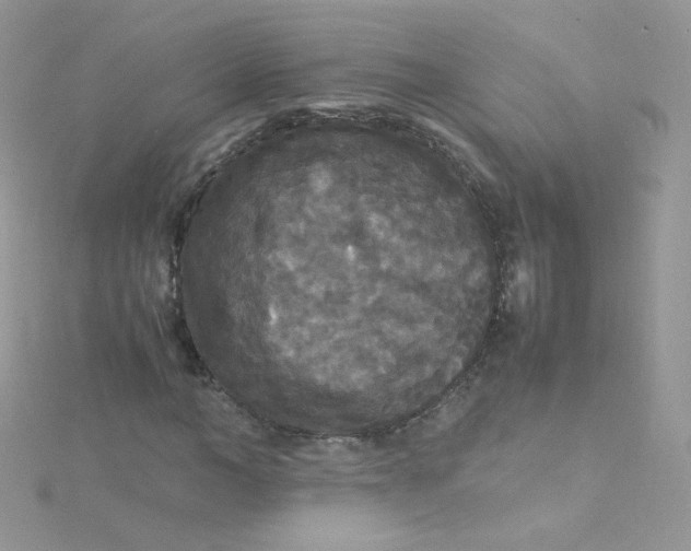 X0000115340966200911231429