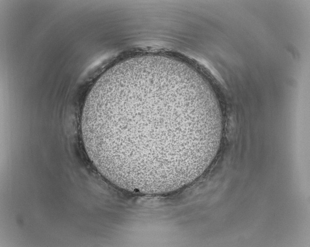 X0000115340967200911231429