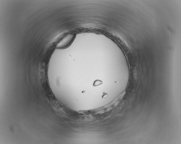 X0000115340968200911231429