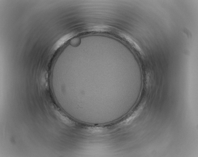 X0000115340970200911231429