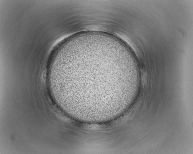 X0000115340971200911231429