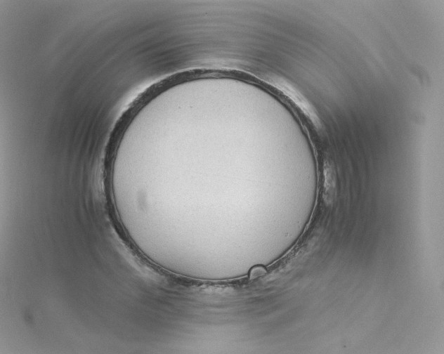 X0000115340972200911231429