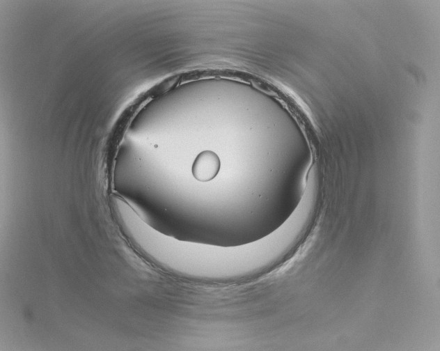 X0000115340973200911231429