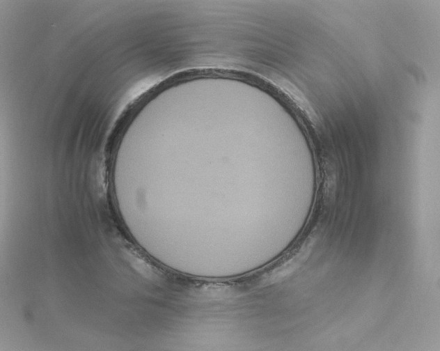 X0000115340974200911231429