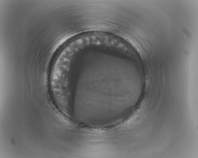 X0000115340975200911231429