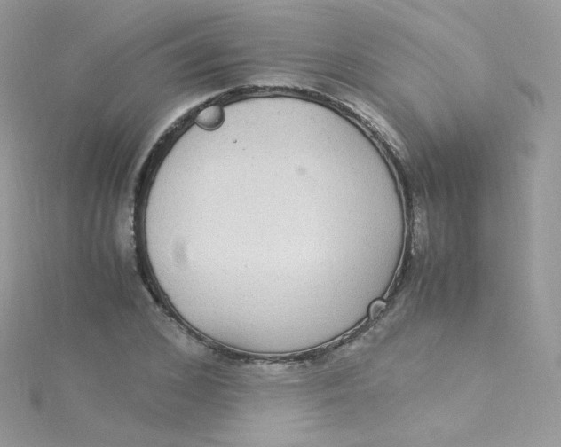 X0000115340976200911231429