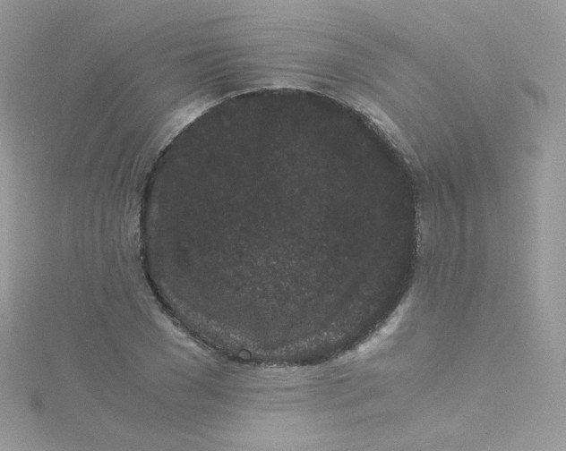 X0000115340977200911231429