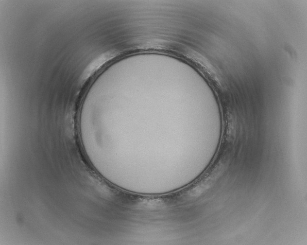 X0000115340978200911231429