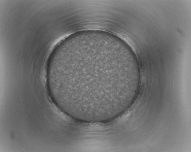 X0000115340979200911231429