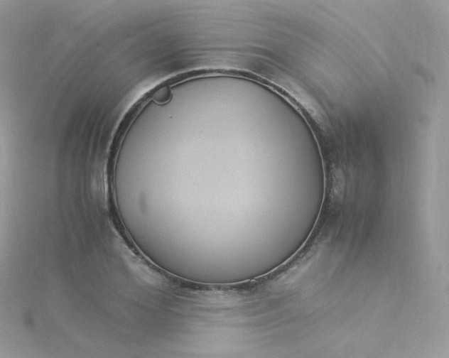 X0000115340980200911231429