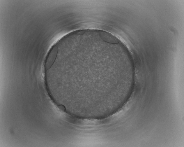 X0000115340981200911231429