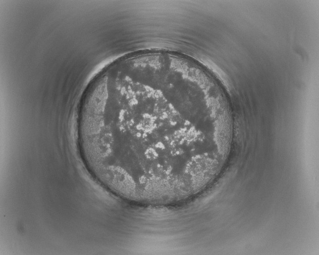 X0000115340983200911231429