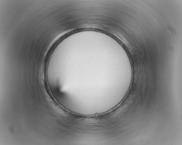 X0000115340984200911231429