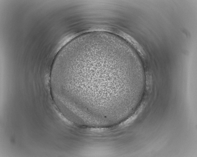 X0000115340985200911231429