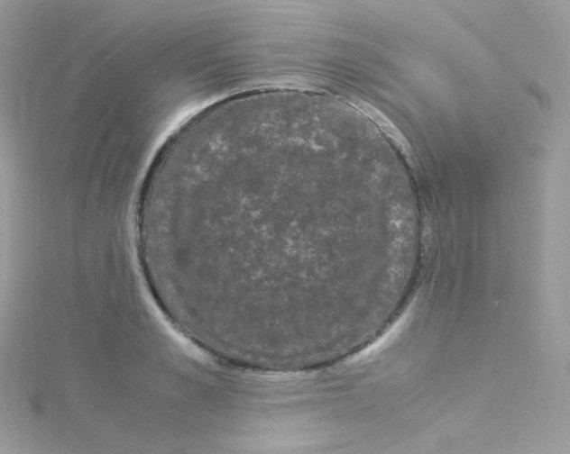 X0000115340989200911231429