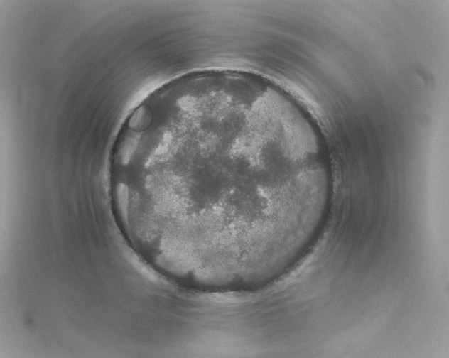 X0000115340990200911231429