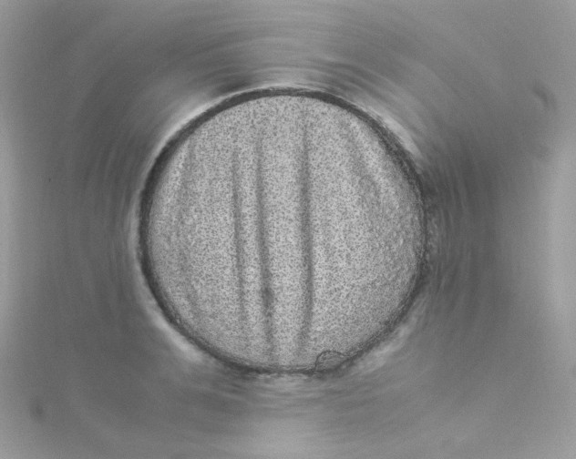 X0000115340991200911231429