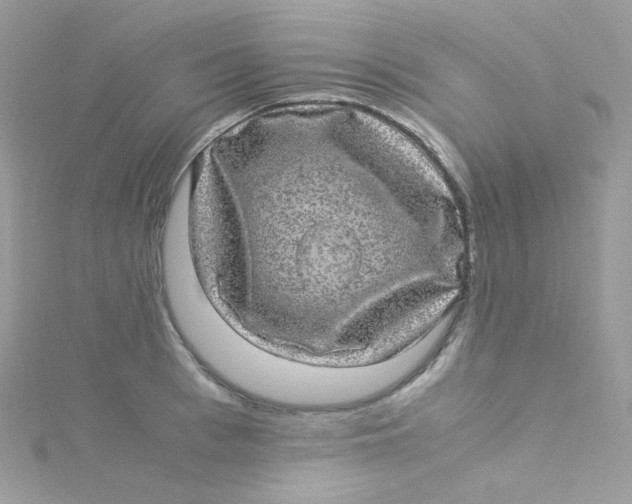 X0000115340993200911231429