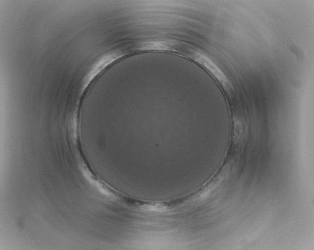 X0000115340994200911231429