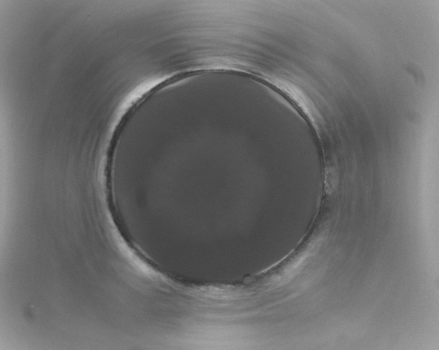 X0000115340995200911231429