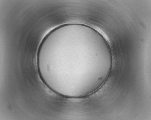 X0000115340996200911231429