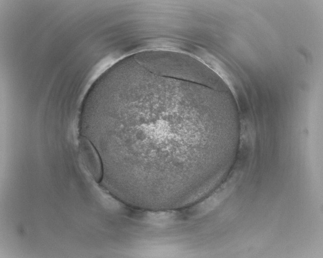 X0000115340997200911231429